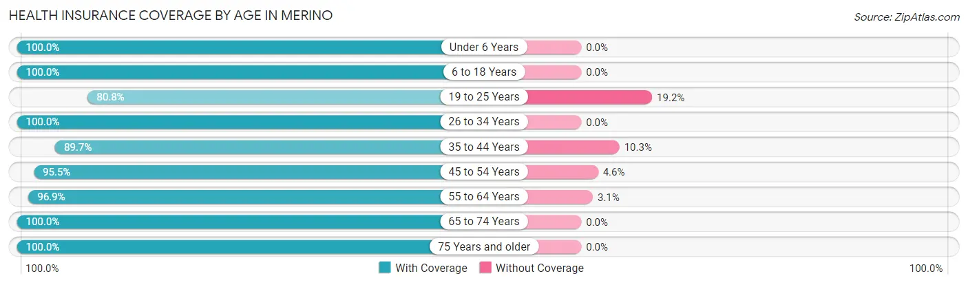Health Insurance Coverage by Age in Merino