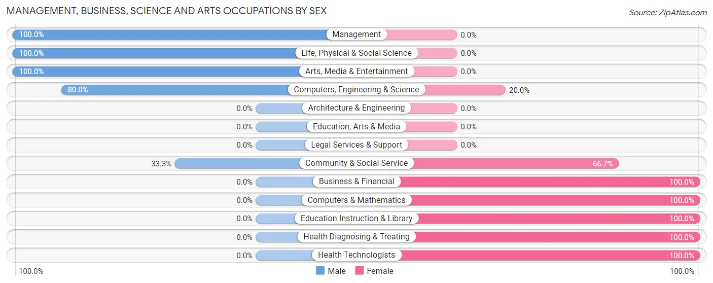 Management, Business, Science and Arts Occupations by Sex in Merino