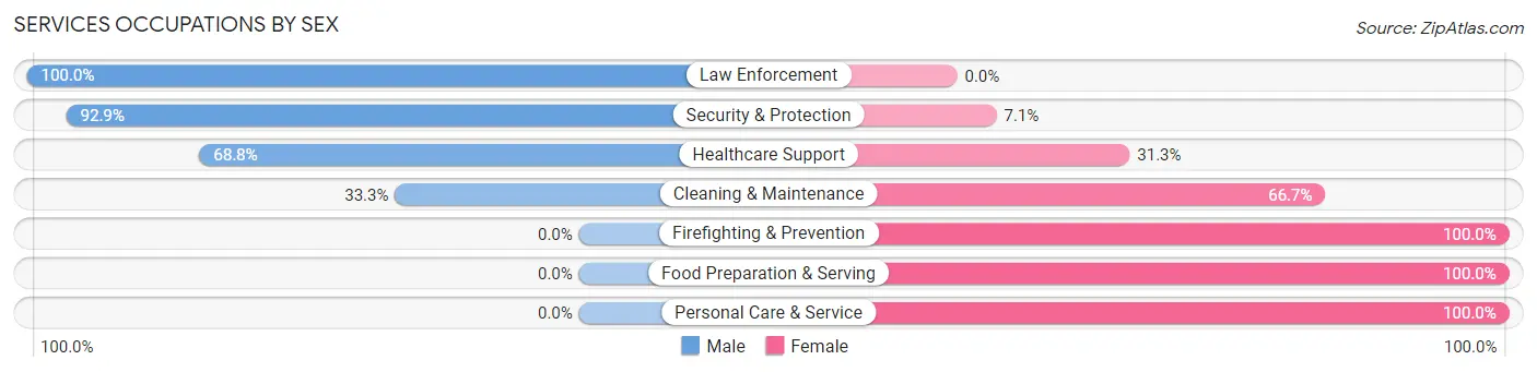 Services Occupations by Sex in Merino