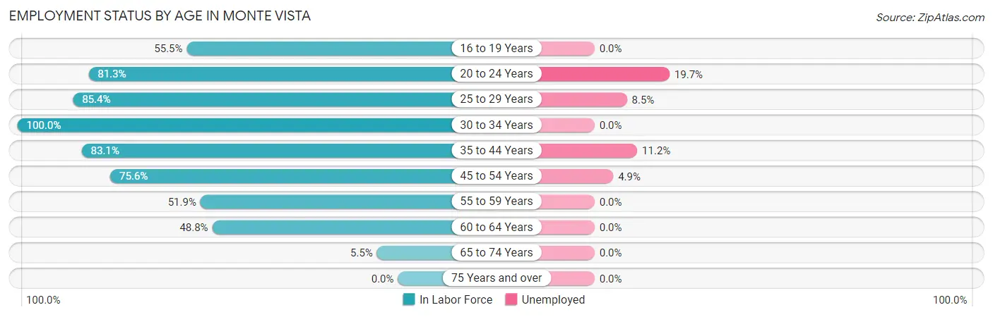 Employment Status by Age in Monte Vista