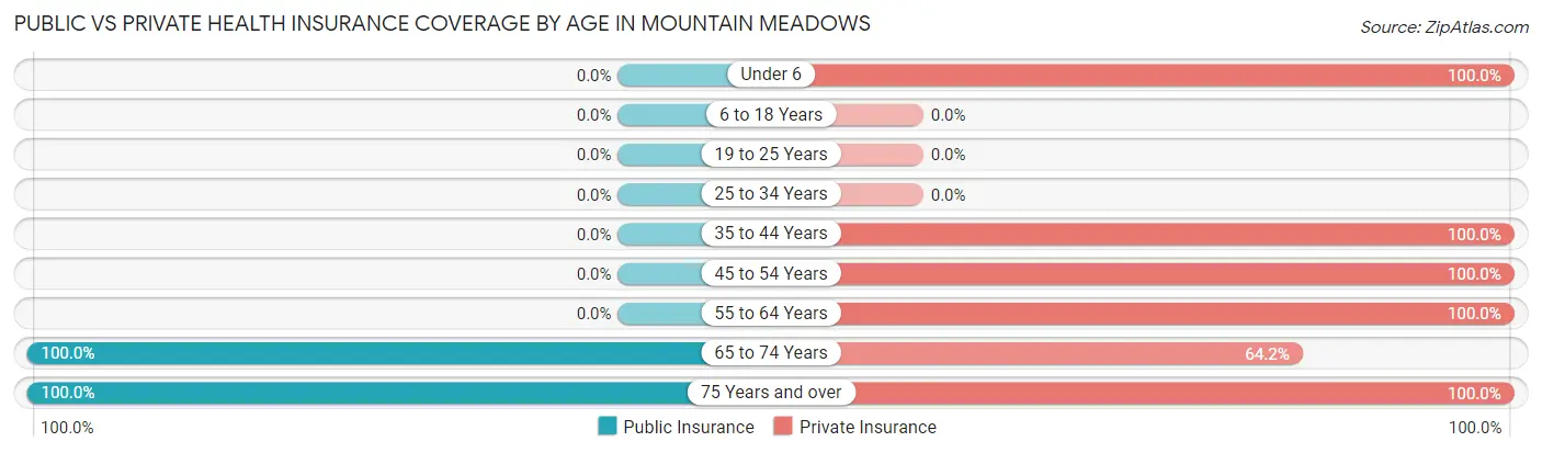 Public vs Private Health Insurance Coverage by Age in Mountain Meadows