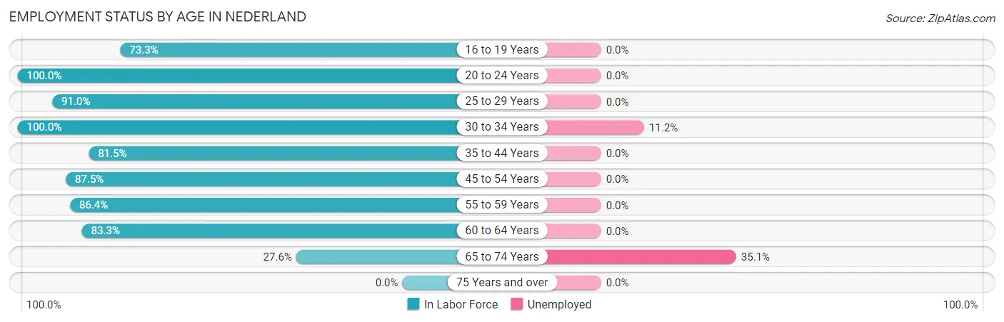 Employment Status by Age in Nederland
