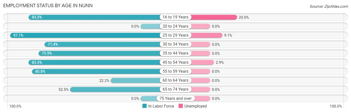 Employment Status by Age in Nunn