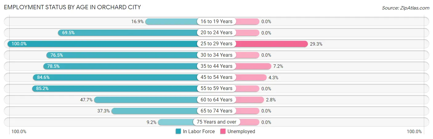 Employment Status by Age in Orchard City
