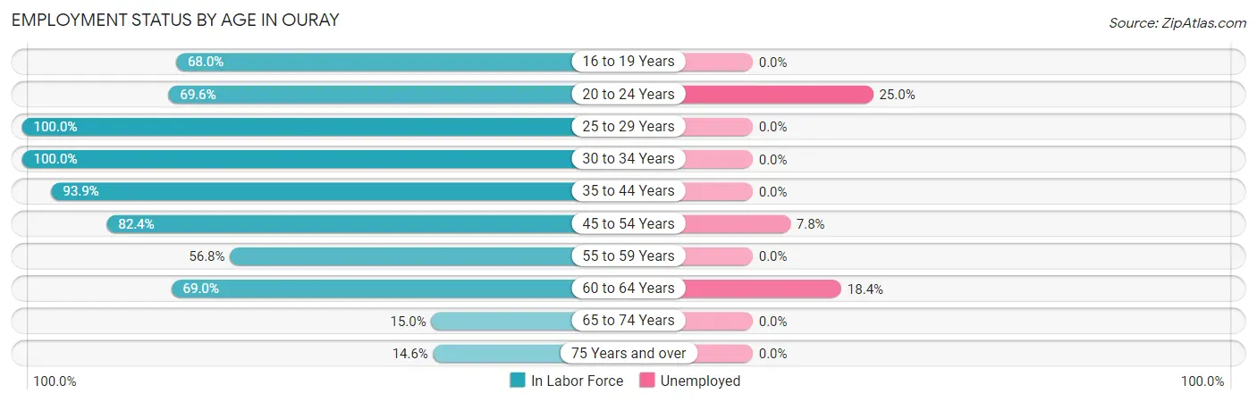 Employment Status by Age in Ouray