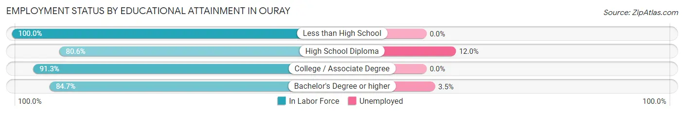 Employment Status by Educational Attainment in Ouray