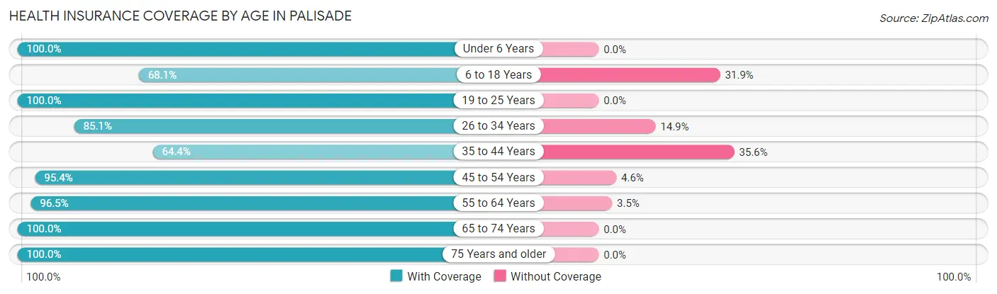 Health Insurance Coverage by Age in Palisade