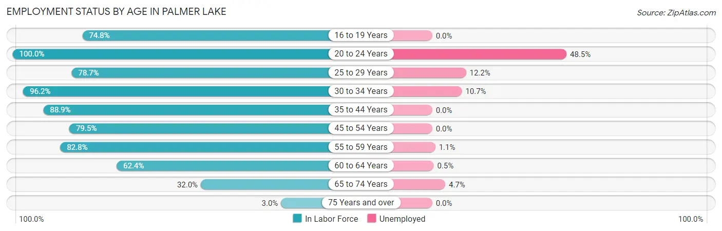 Employment Status by Age in Palmer Lake
