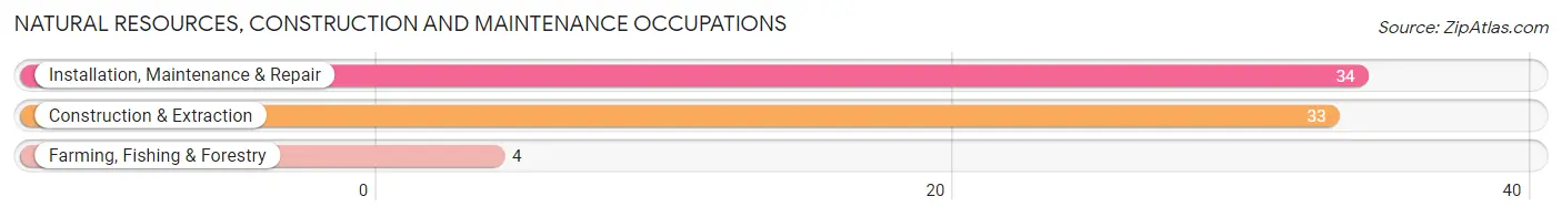 Natural Resources, Construction and Maintenance Occupations in Pierce