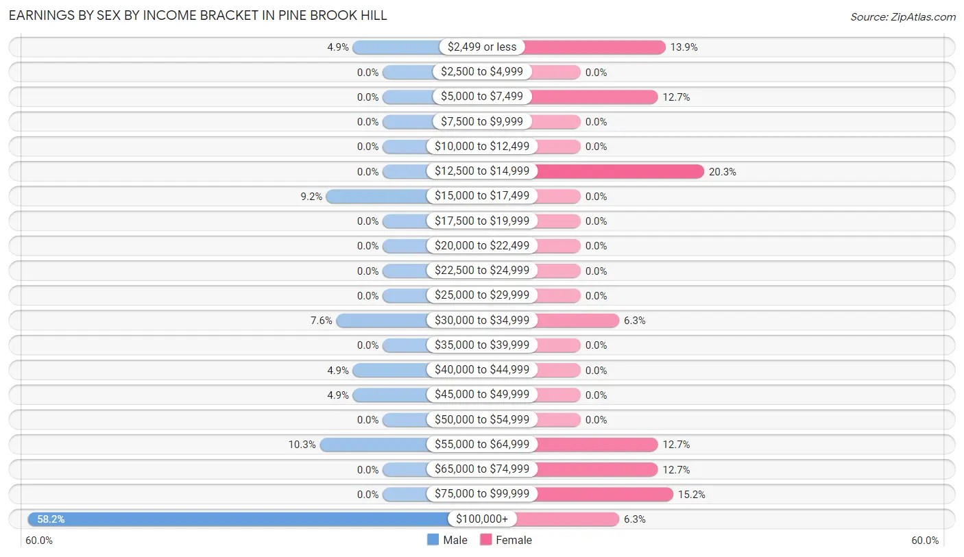 Earnings by Sex by Income Bracket in Pine Brook Hill