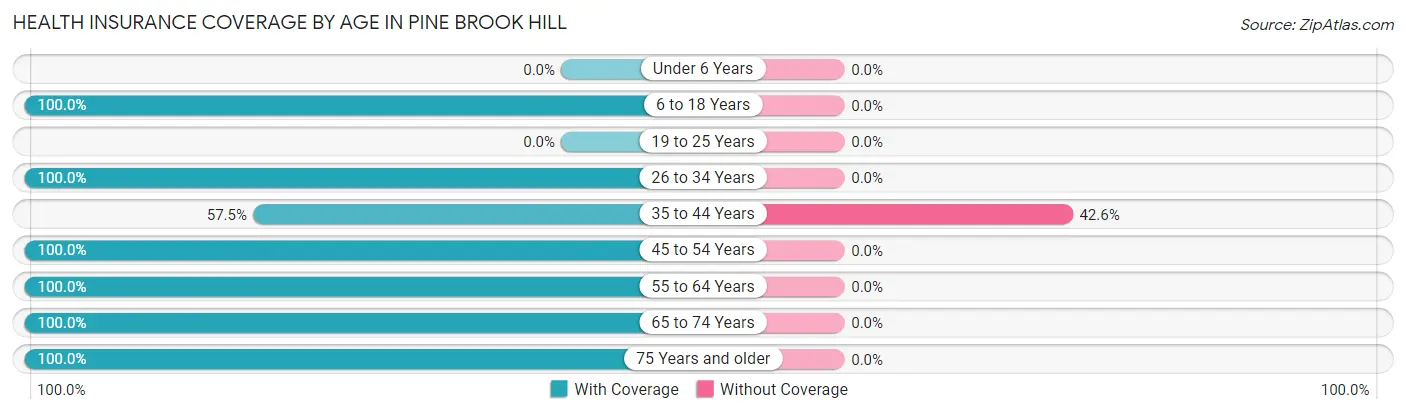 Health Insurance Coverage by Age in Pine Brook Hill