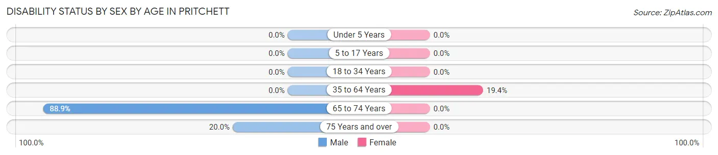 Disability Status by Sex by Age in Pritchett