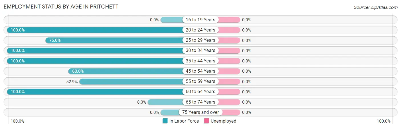 Employment Status by Age in Pritchett
