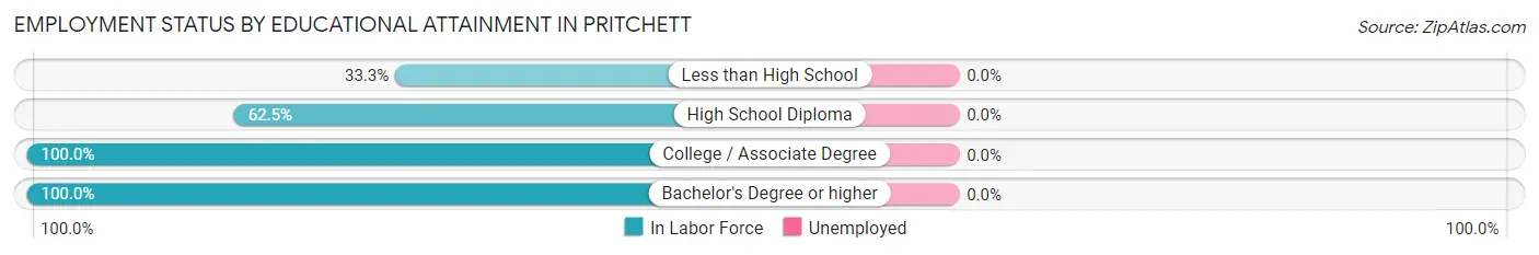 Employment Status by Educational Attainment in Pritchett