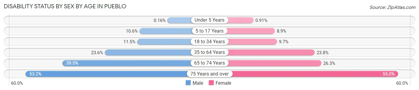 Disability Status by Sex by Age in Pueblo