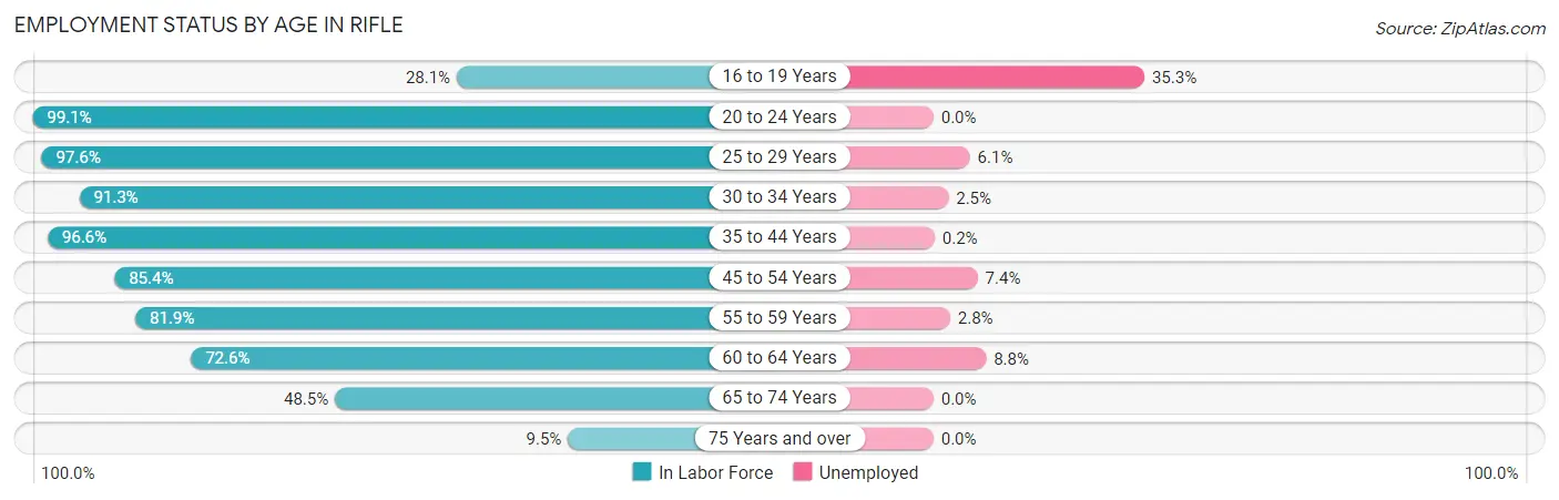 Employment Status by Age in Rifle