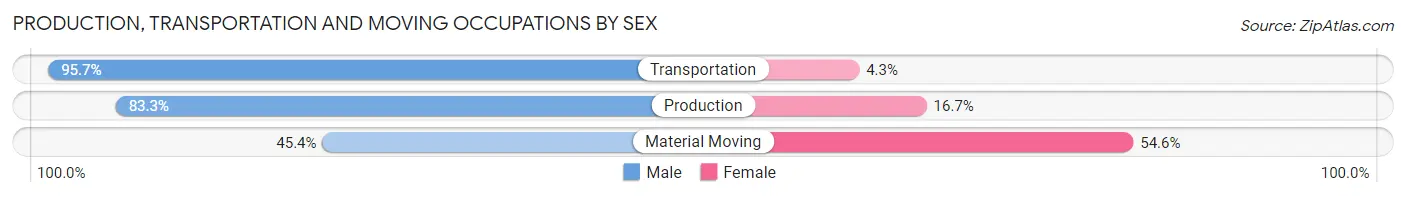 Production, Transportation and Moving Occupations by Sex in Rifle