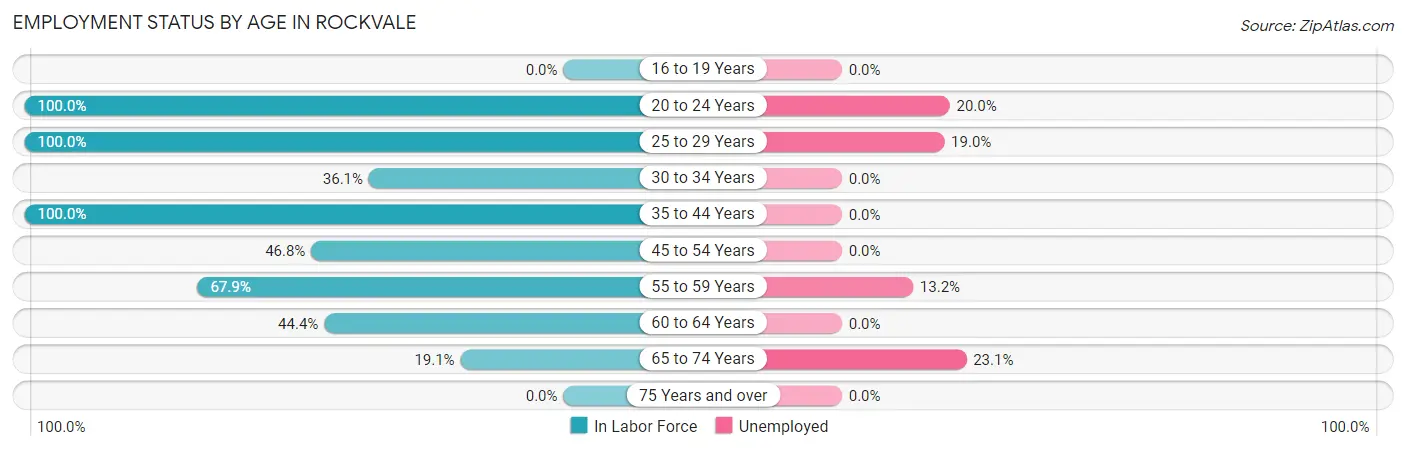 Employment Status by Age in Rockvale