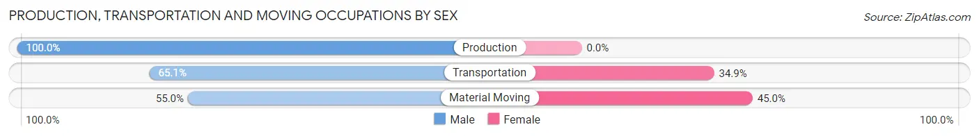 Production, Transportation and Moving Occupations by Sex in Rocky Ford