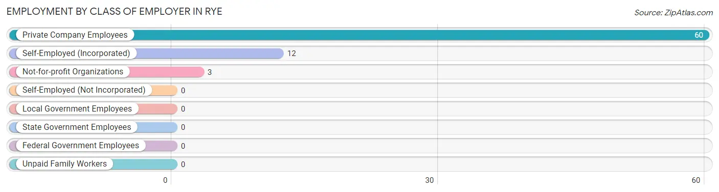 Employment by Class of Employer in Rye