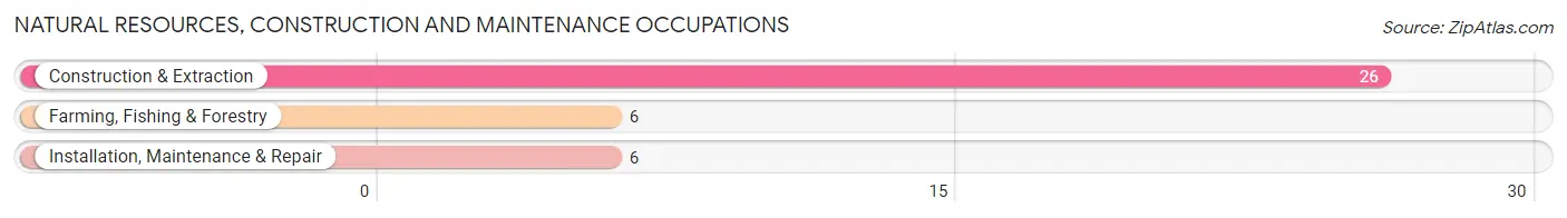 Natural Resources, Construction and Maintenance Occupations in Rye