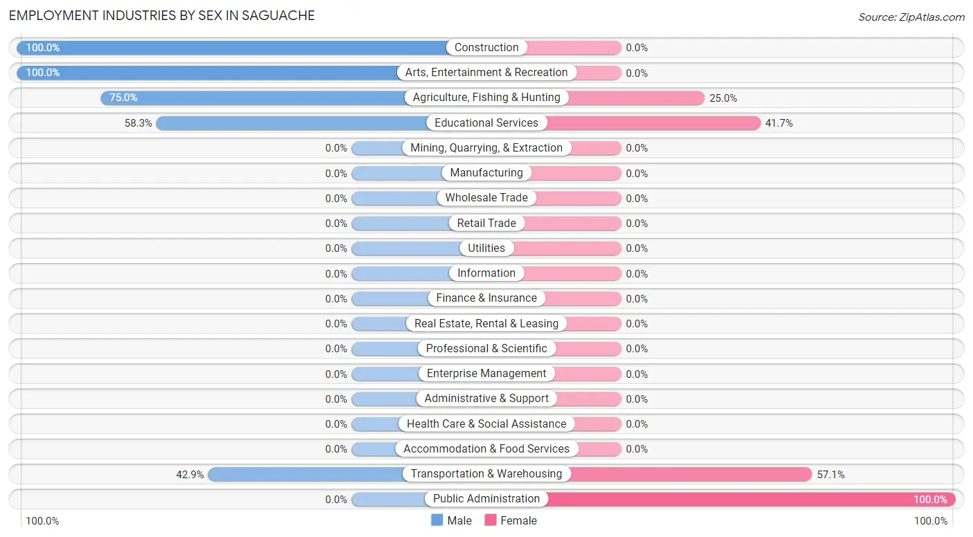 Employment Industries by Sex in Saguache