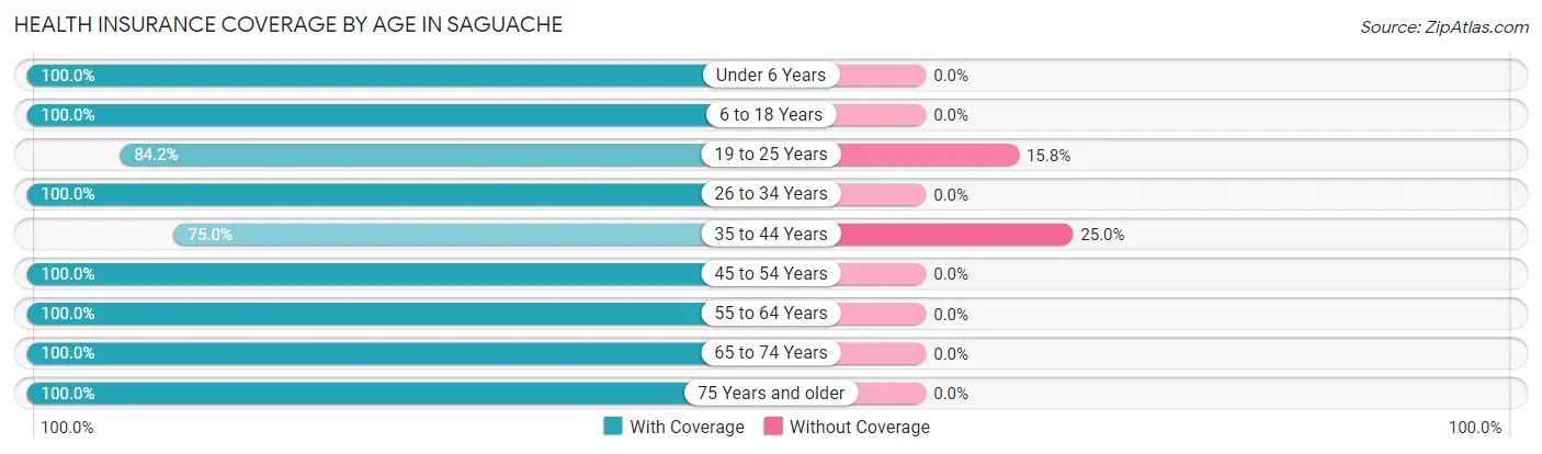 Health Insurance Coverage by Age in Saguache