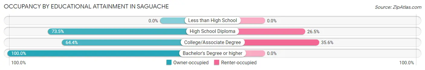 Occupancy by Educational Attainment in Saguache