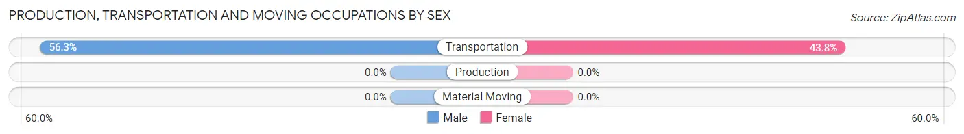 Production, Transportation and Moving Occupations by Sex in Saguache