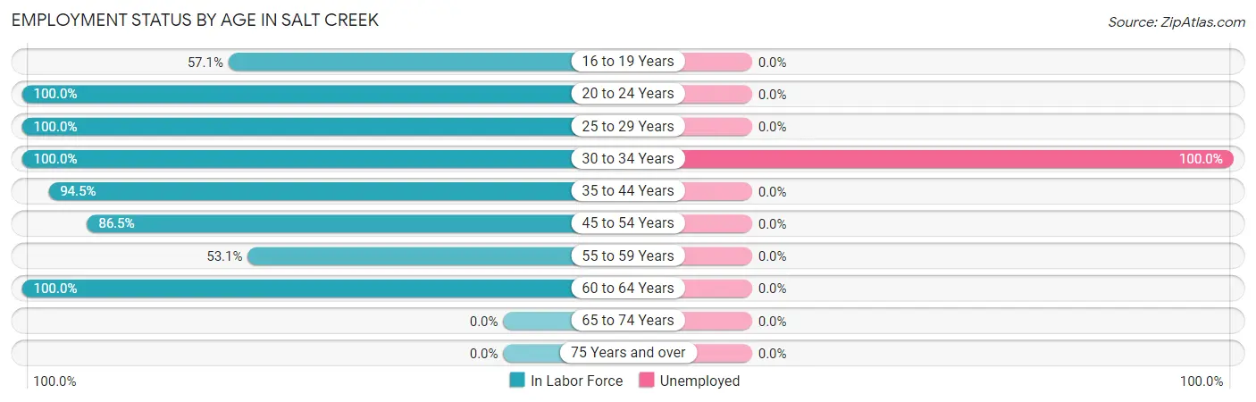 Employment Status by Age in Salt Creek