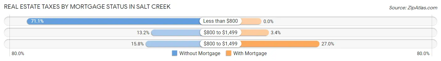 Real Estate Taxes by Mortgage Status in Salt Creek