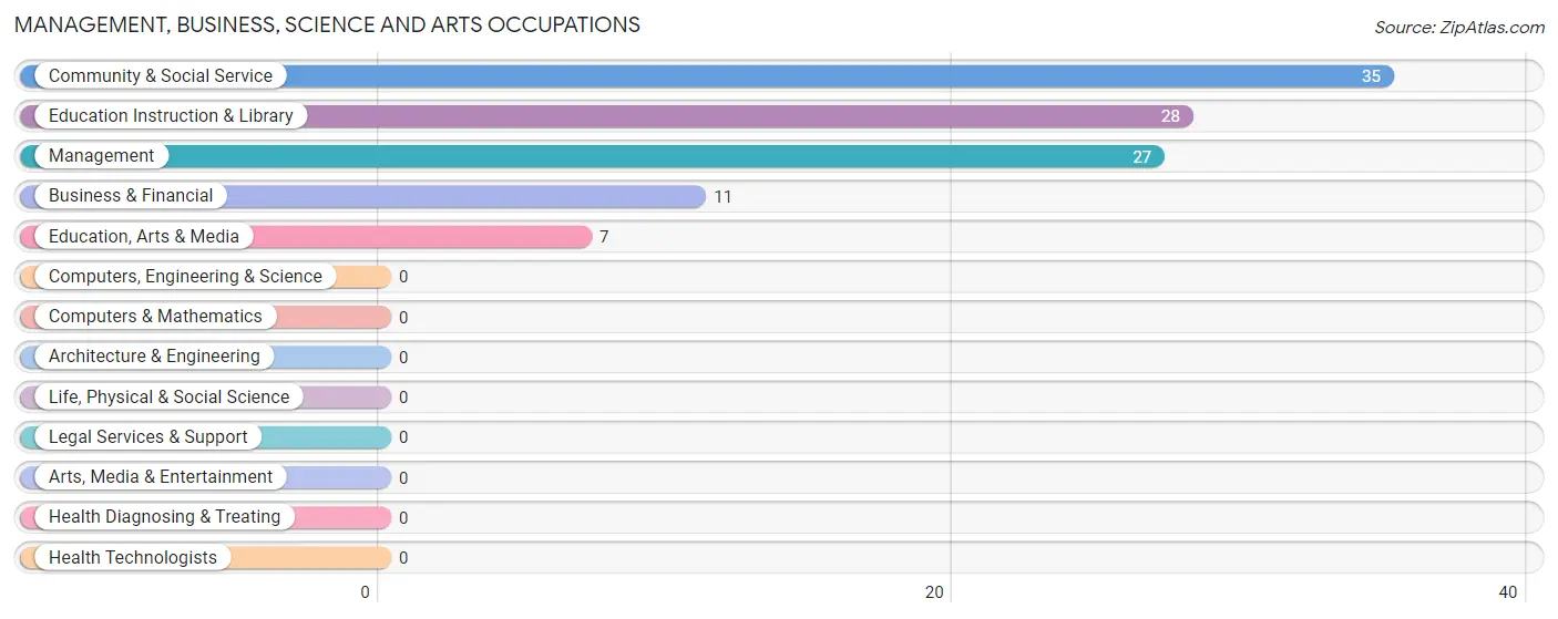 Management, Business, Science and Arts Occupations in San Luis