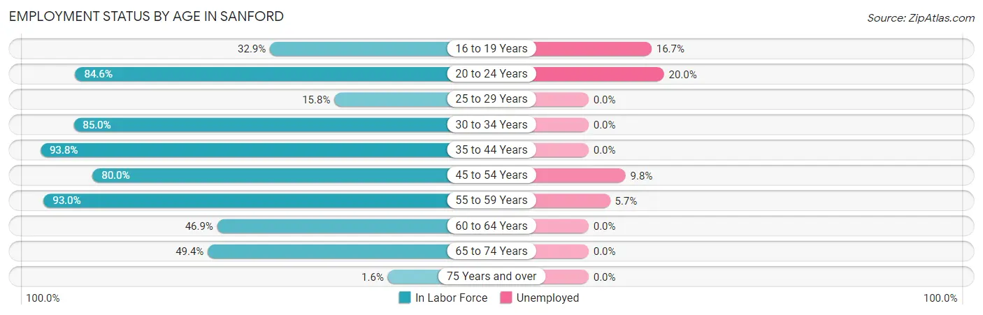 Employment Status by Age in Sanford