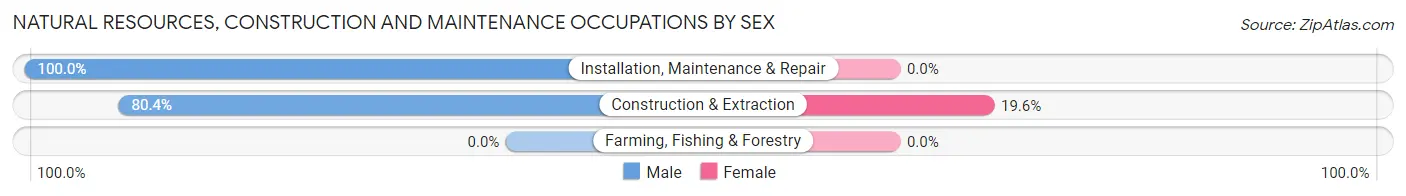 Natural Resources, Construction and Maintenance Occupations by Sex in Severance