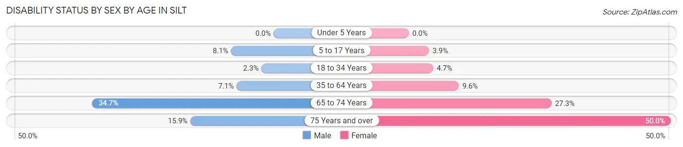 Disability Status by Sex by Age in Silt