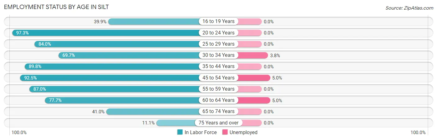 Employment Status by Age in Silt