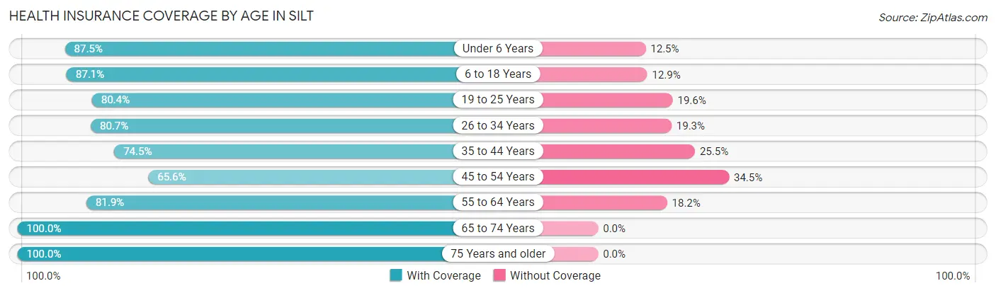 Health Insurance Coverage by Age in Silt