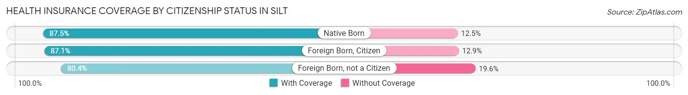 Health Insurance Coverage by Citizenship Status in Silt