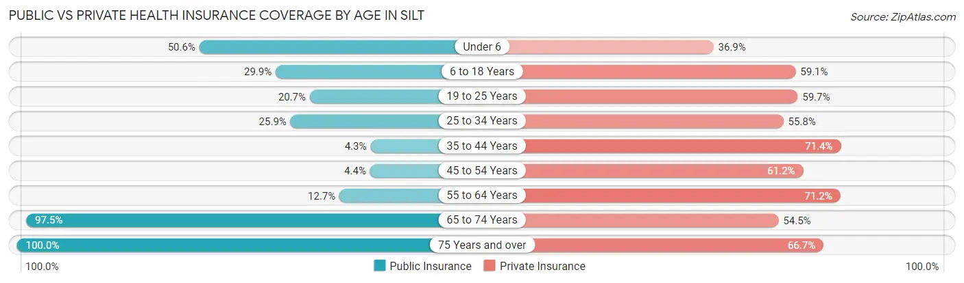 Public vs Private Health Insurance Coverage by Age in Silt