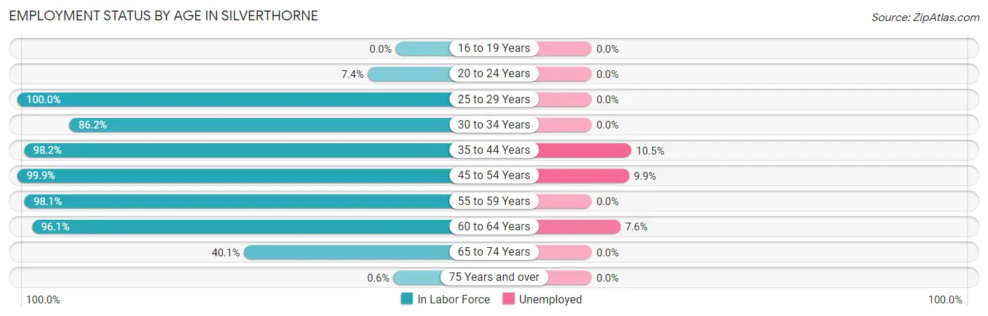 Employment Status by Age in Silverthorne