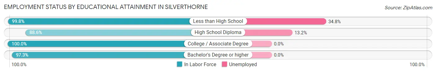 Employment Status by Educational Attainment in Silverthorne