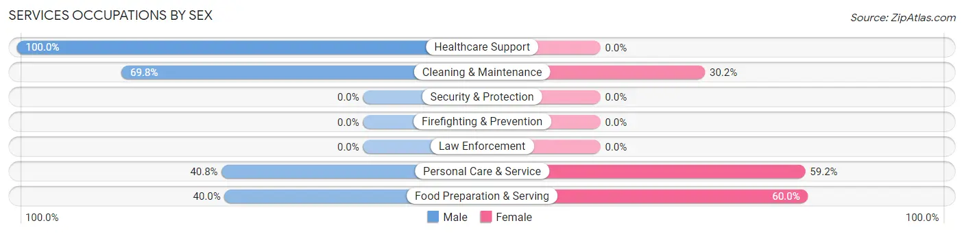 Services Occupations by Sex in Silverthorne