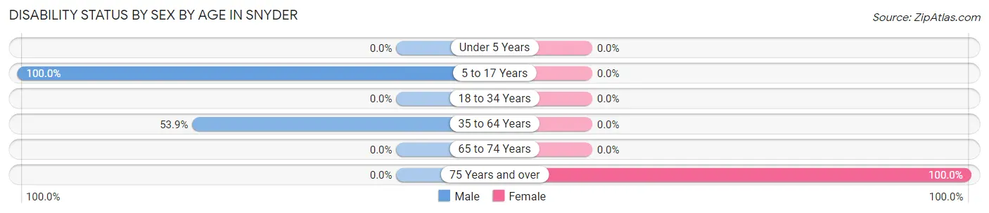 Disability Status by Sex by Age in Snyder