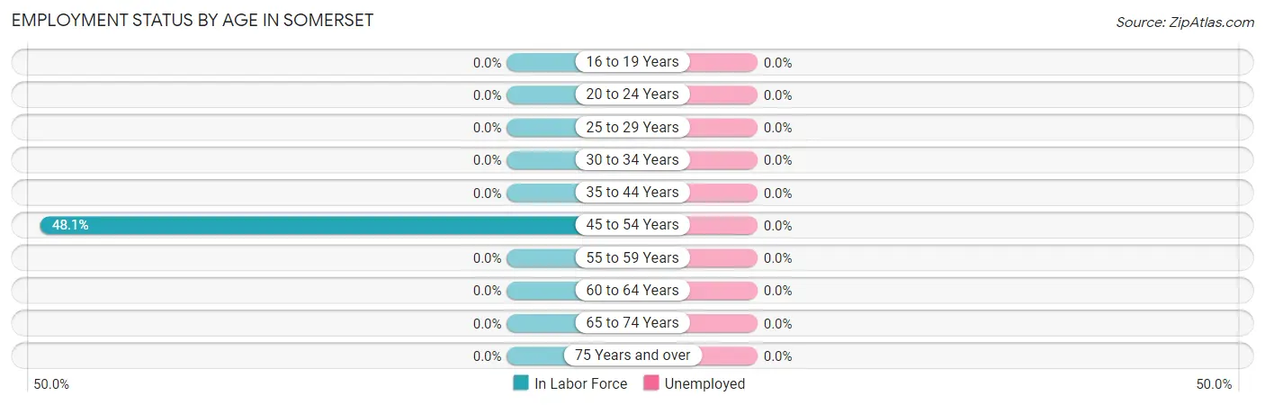 Employment Status by Age in Somerset