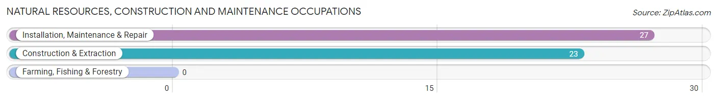 Natural Resources, Construction and Maintenance Occupations in South Fork