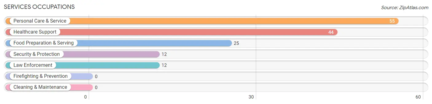 Services Occupations in Strasburg