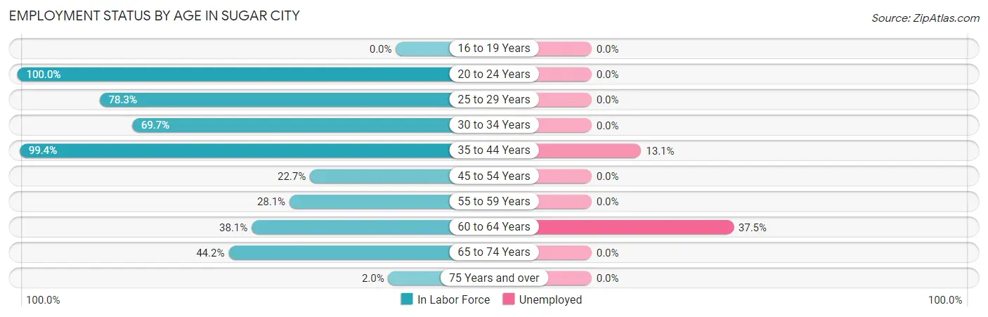 Employment Status by Age in Sugar City