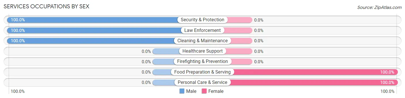 Services Occupations by Sex in Swink