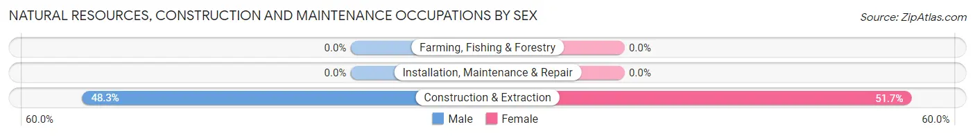 Natural Resources, Construction and Maintenance Occupations by Sex in Telluride