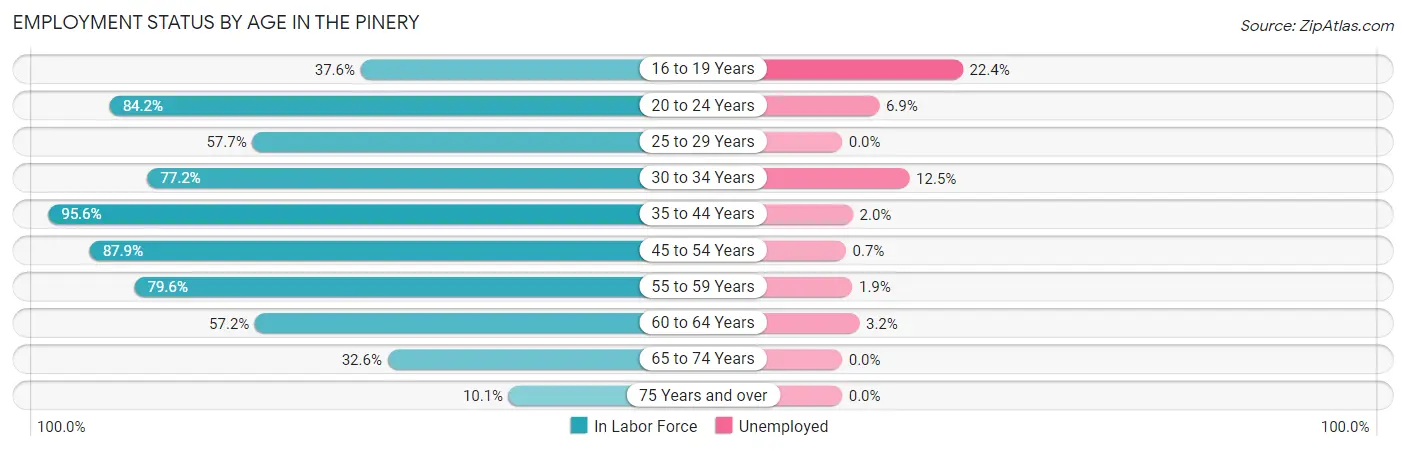 Employment Status by Age in The Pinery